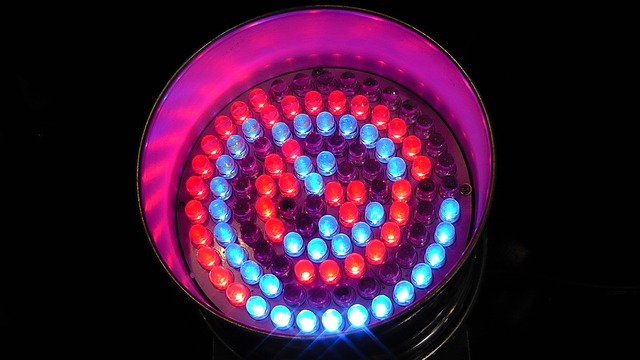 led světlo